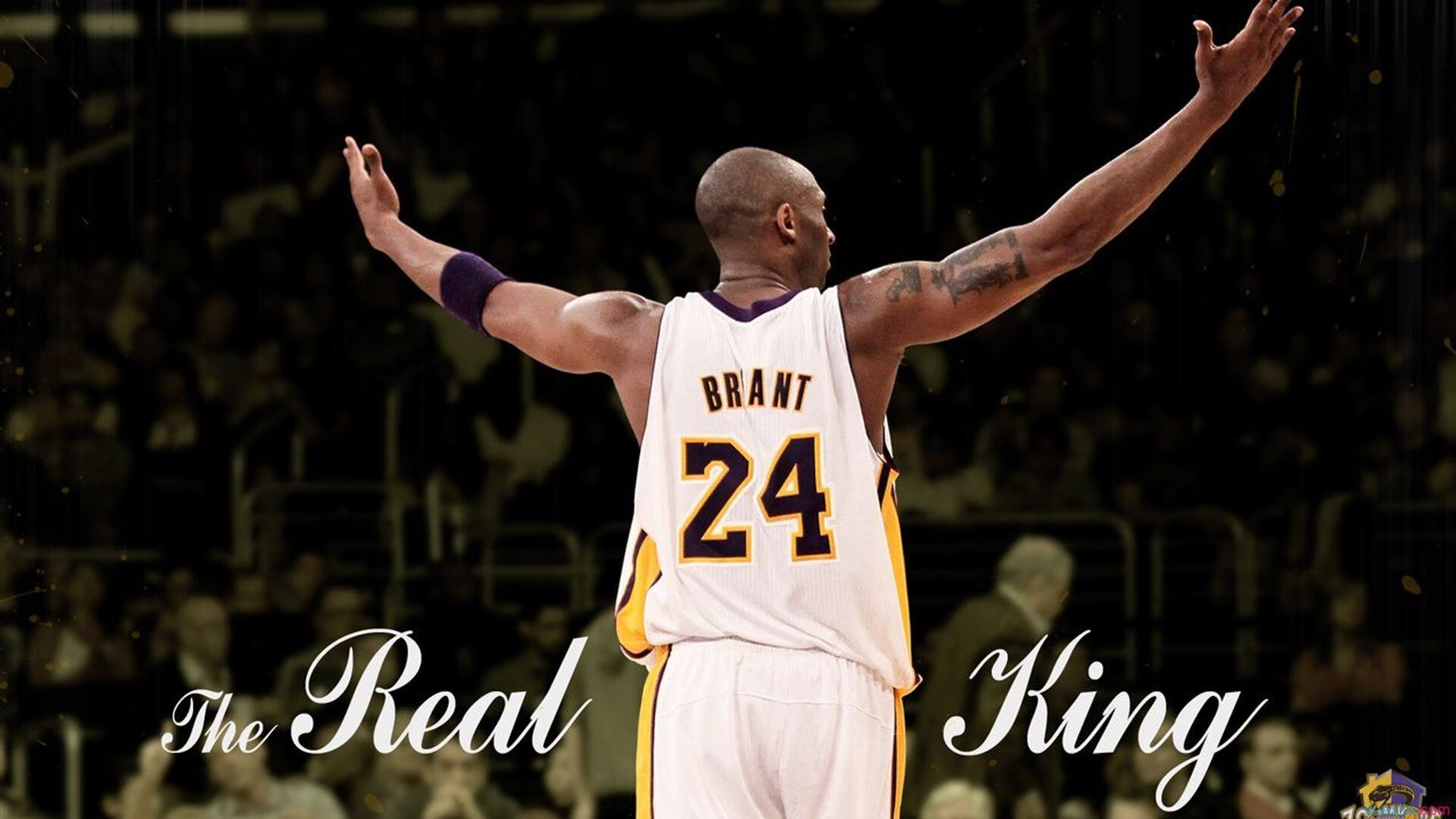 凯尔特人淘汰鹈鹕,武切维奇成为关键先生,一场战术与意志的胜利